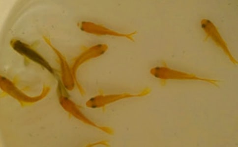 �~��ُ(g��u)�N��ͬ