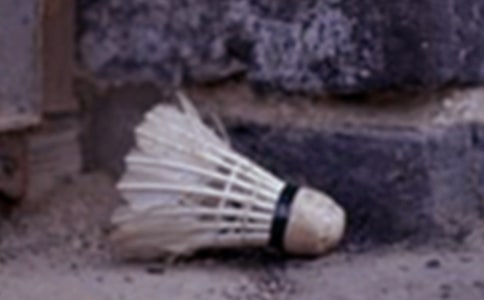 ���Լ��W(xu��)����ë��ķ���