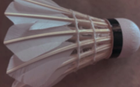 ����ë�������\��15ƪ