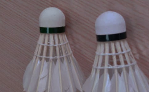 �W(xu��)����ë�����ľ��x��15ƪ��