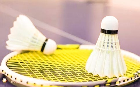 ����ë������15ƪ[���T]