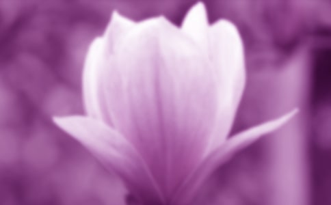 ���m�����ġ�����15ƪ��