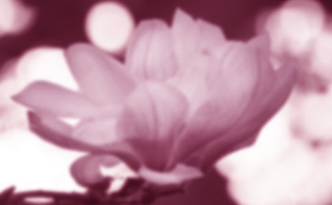 ٝ�����m����Ԋ(sh��)��