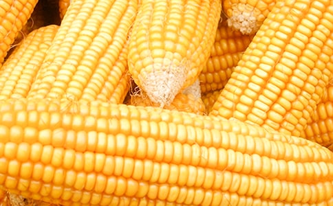 �P(gu��n)�����״ֿs���İY����η���