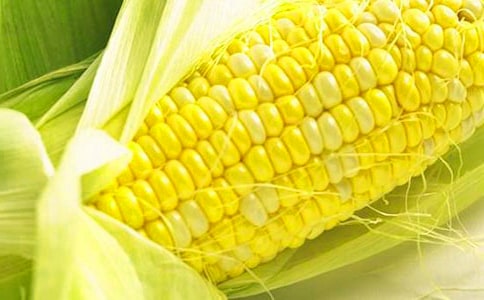 ���������ľ��A��15ƪ��