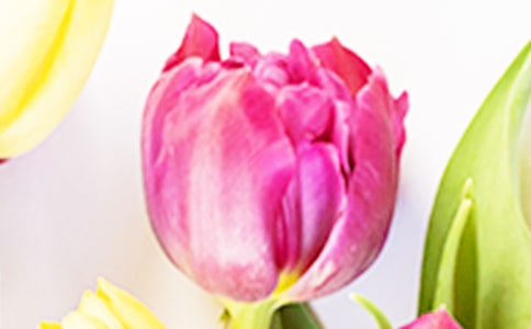 �P(gu��n)�������������