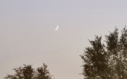 ������Ԋ��