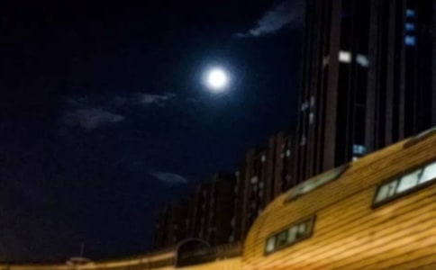 �P(gu��n)���A��Ԋ��290��