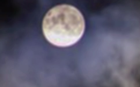 �A֮ҹ����14ƪ���ϼ���