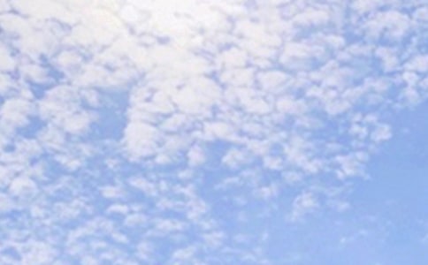 2026�꺆�̵����\���簲���Z���ż���55��