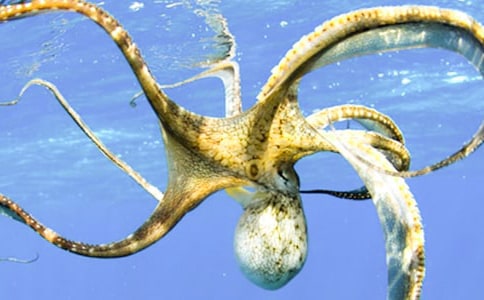 �P(gu��n)�����~������200��