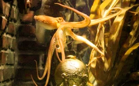 �{(l��n)�����~�ĺ�(ji��n)��