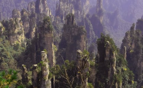 ���˵ď��ҽ�����