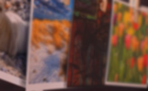 һ����Ƭ����(�R��15ƪ)