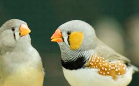 �������B(ni��o)����˼��ͨ��16ƪ��