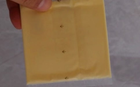 �r�}֥ʿ�G���������ʲô