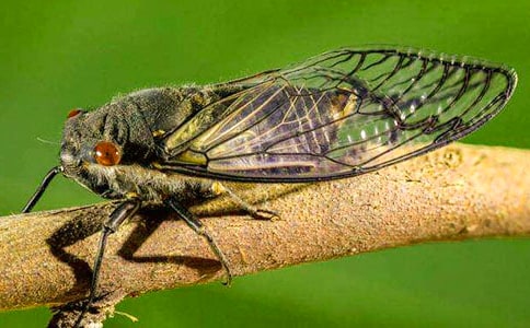 ׽֪������11ƪ��ͨ�á�