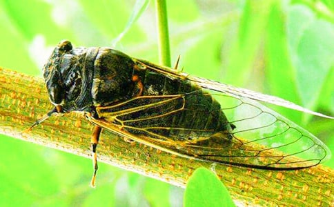 ׽֪�����ĳ���(15ƪ)