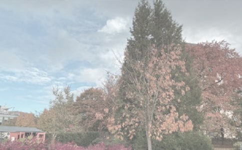 上海辰山植物園旅游節(jié)期間成人門票半價