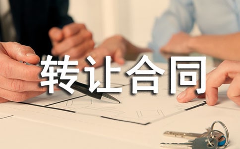 土地使用權(quán)轉(zhuǎn)讓合同(3)