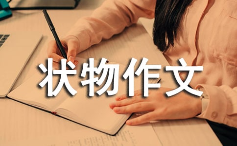 ���x��������300�ּ��\8ƪ