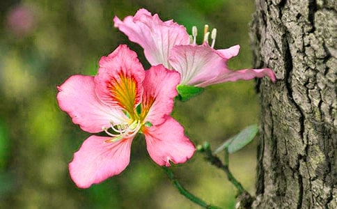 �^�����G������250��