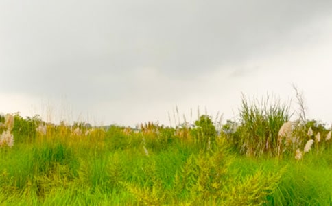 ���M(j��n)���C�Ĵ����x���