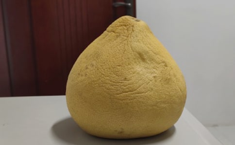 �����ط��������ӡ�