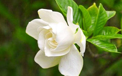 �d�ӻ��_����