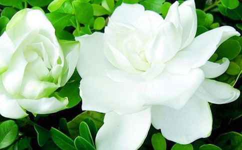 �d�ӻ��_����