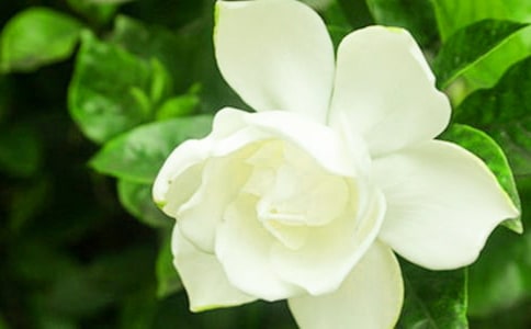 �d�ӻ��_����(��)