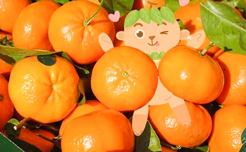 ���ӵ�����