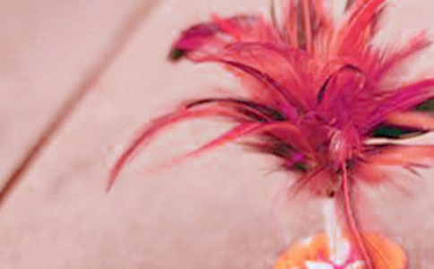 毽球協(xié)會(huì)申請(qǐng)書(shū)