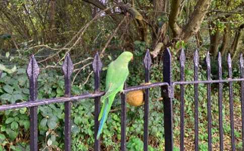 [��(y��u)�x]��Ƥ�W�^����