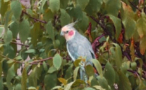 ��Ƥ�W�^����(����15ƪ)