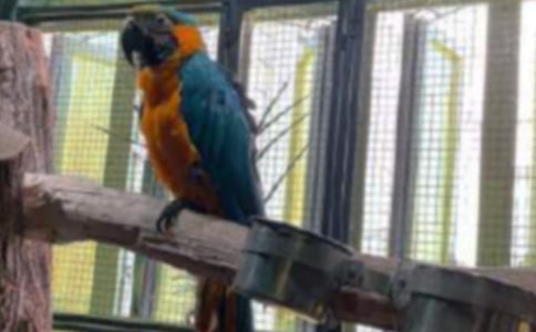 �ɐ۵��W�^���ĺϼ�(15ƪ)