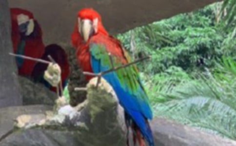 ���P�^�W�^