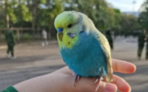 ��Ƥ�W�^���ģ���(y��u)��15ƪ��