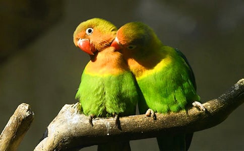 ����(y��u)�x����Ƥ�W�^����15ƪ