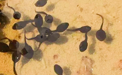 (��Ʒ)С����ҋ����Ĺ���12ƪ