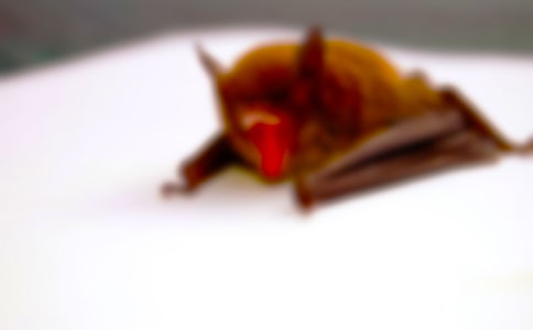 [��(j��ng)��]���������31ƪ