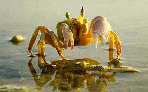 (��(j��ng)��)�ª�(d��)��С�з�Ĺ���5ƪ