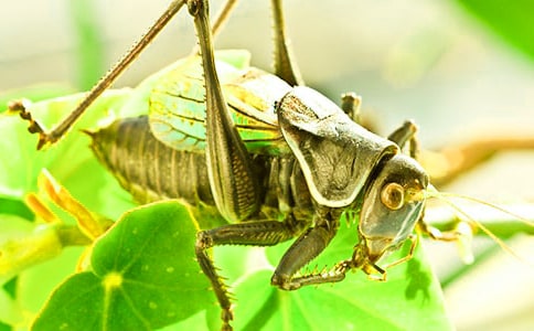 ���󰡷�b�p 