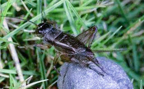 ��߀�l(xi��ng)����