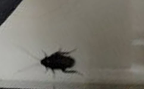 �����ӛ����