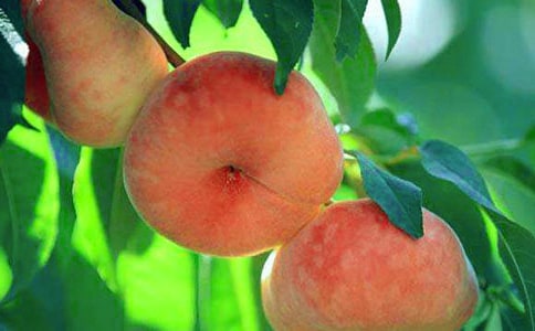 ��(j��ng)����f���£���ҕ�(hu��)