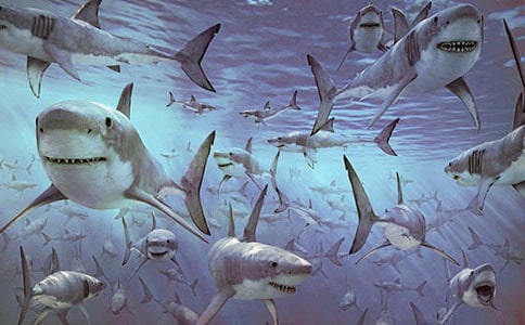 ���~������