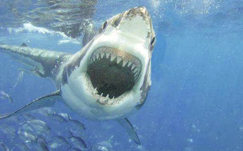 ���~���˾G����(hu��)��ô�ӵ�ЦԒ