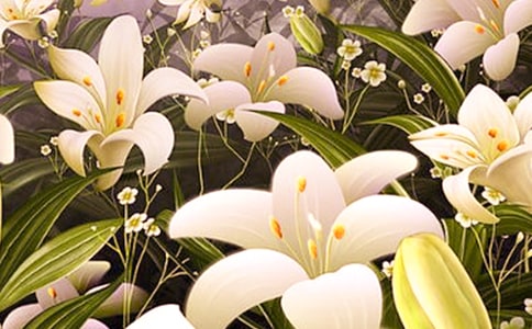 �������ϵİٺϻ����x���