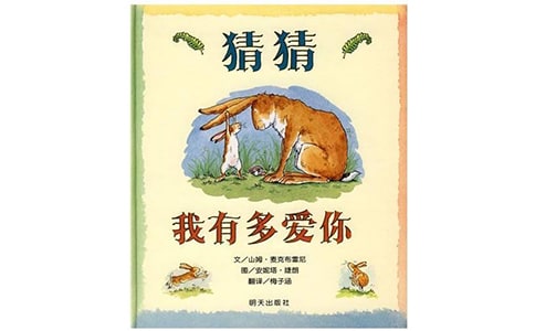 《猜猜我有多愛你》讀后感(匯編15篇)